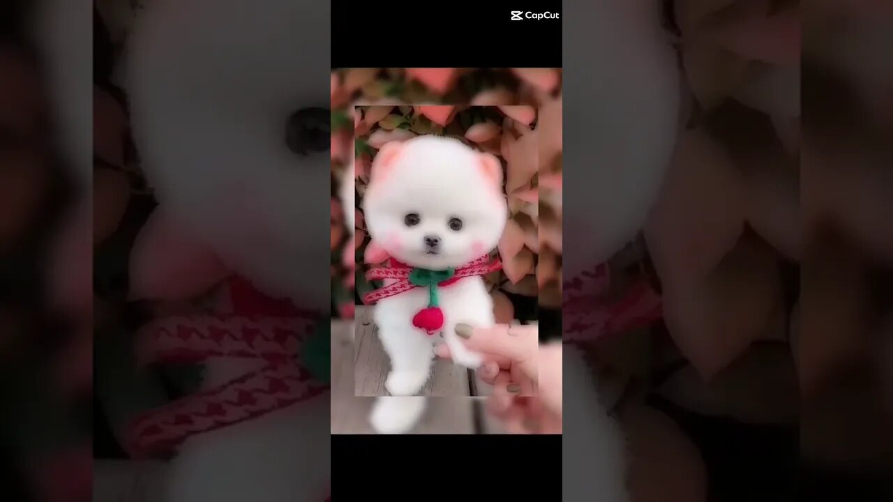 ❤❤❤❤❤❤