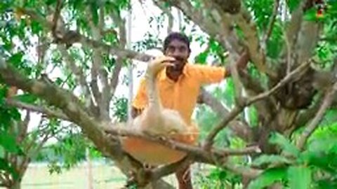 Must_Watch_New_Funny_Video_2023_Top_New_Comedy_Video_2023_Try_To_Not_Laugh_EP-182_By_@MYFAMILYComedy