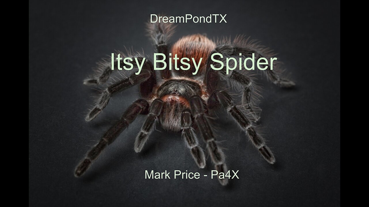 DreamPondTX/Mark Price - Itsy Bitsy Spider (Pa4X at the Pond)