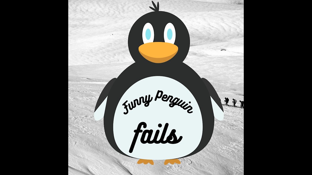 Funny penguin fails