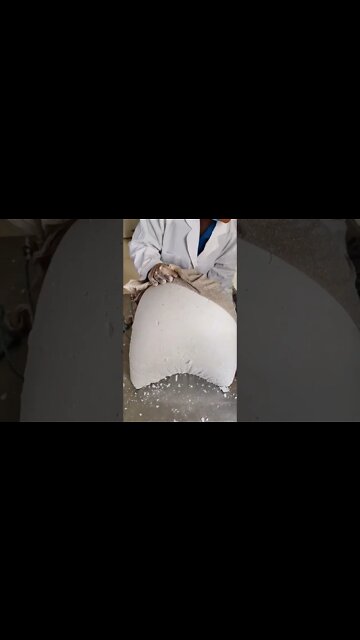 Amazing Shorts for entertainment 😜 #shorts Amazing Shorts 🤩 #shorts