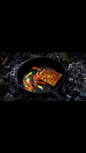 Chicken of the Woods Mushrooms and Waffles. Bushcraft camping meal #shorts