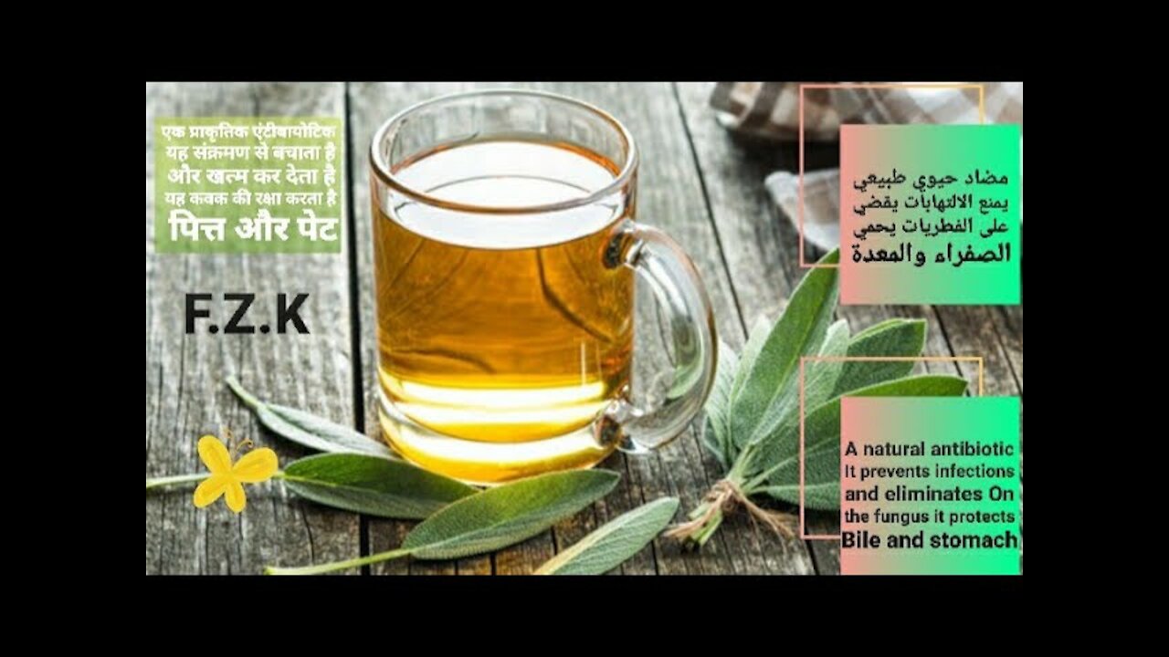 strongest natural antibiotic: eliminates fungi_protects bile (gallbladder) & stomach Calms intestine