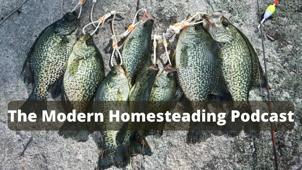 Fishing To Provide Food For The Homestead With Guest Cannon Kirby - Modern Homesteading Podcast 154