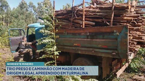 Nordeste Mineiro: Trio preso e Caminhão com Madeira de Origem Ilegal apreendido em Turmalina.