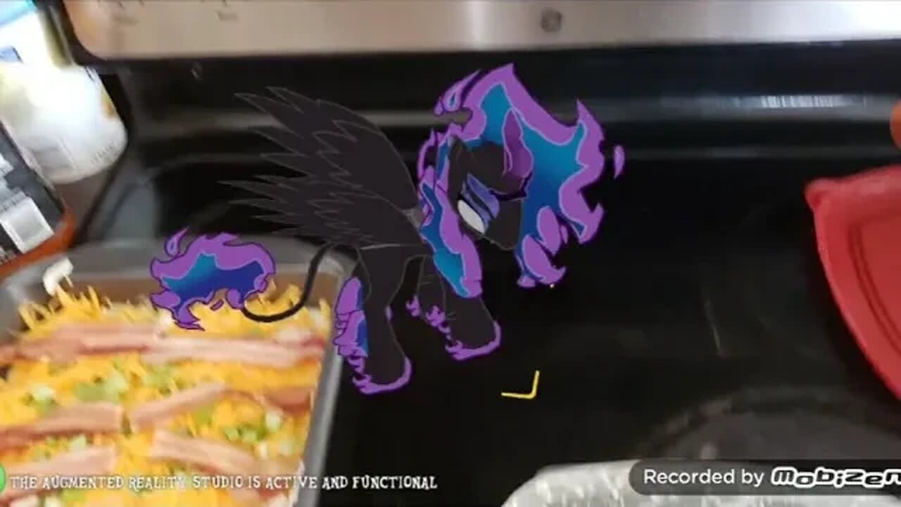 Nirik Princess Luna & I wish you a Merry Christmas!