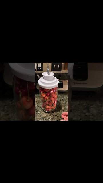 How preserve fruit cherries experiment on how to preserve without preservatives vacuum system