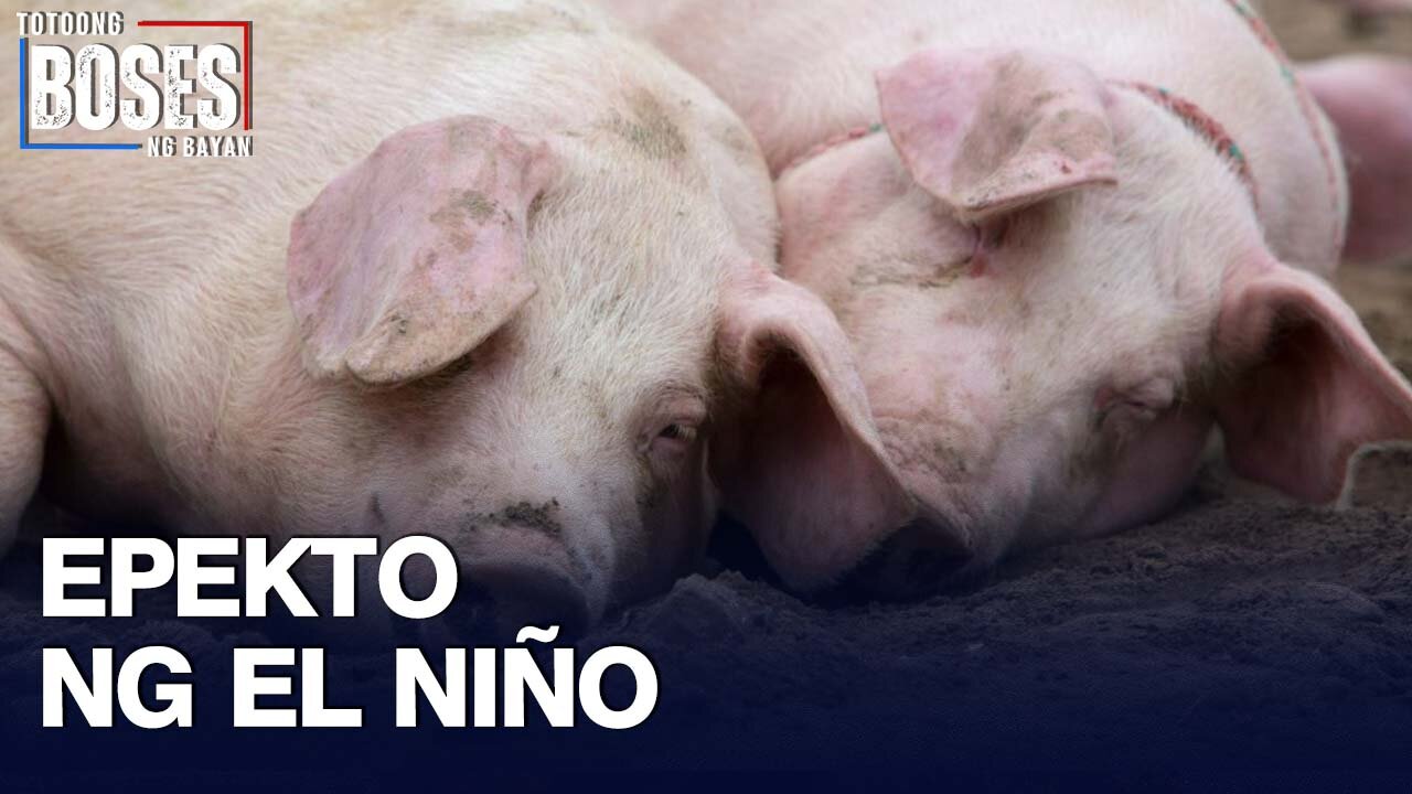 DA: Pinsalang dulot ng El Nino sa livestock industry, pumalo na sa higit P10-M