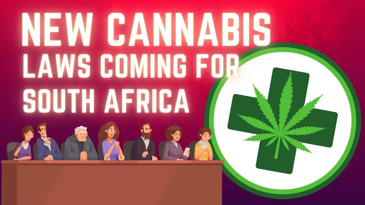 South Africa's New Cannabis Laws in 2023 🌍🌿