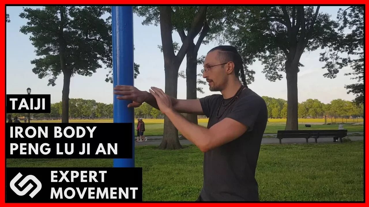 Iron Body & Iron Palm Training ☯ Taiji Chuan Peng Lu Ji An