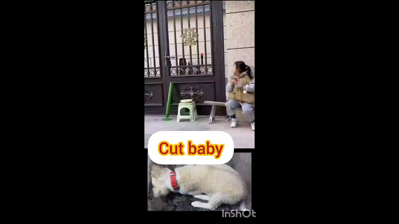 cute baby paying with cactus