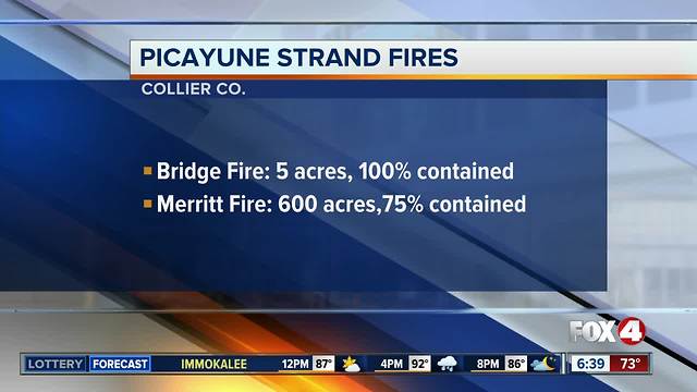 Picayune Strand brush fires