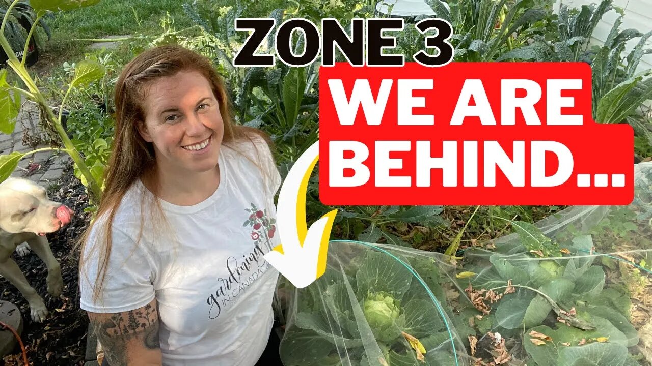 June Garden Tour! Things Are BLOOMING In Zone 3