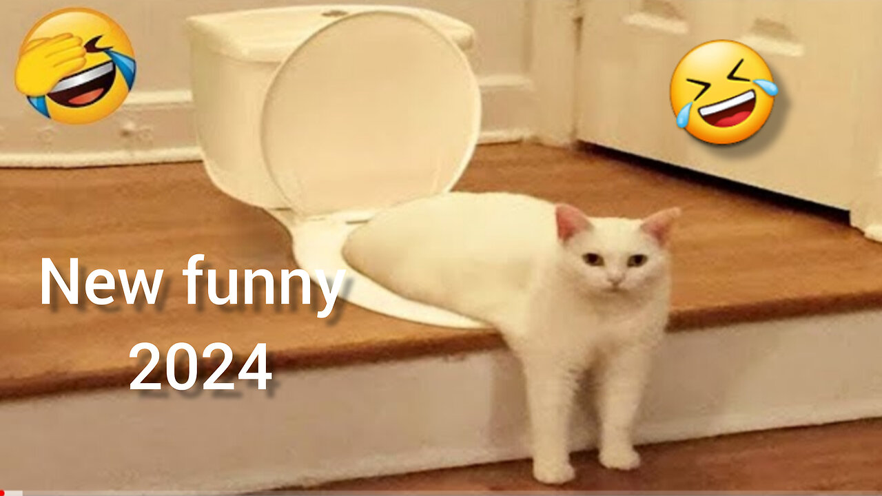 2024 New funny video || best animal funny video || hilarious funny video 😂🤣😂🤣