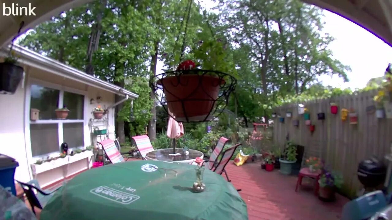 SOUTH_VIDEO_DOOR_BELL_2023-05-04T15_14_58-0400.mp4