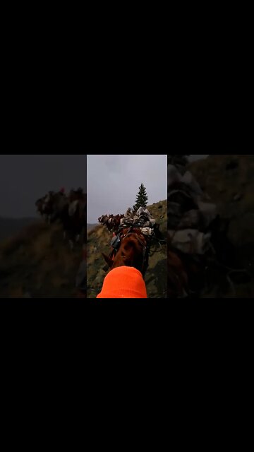 Pack String Lookin' Good!