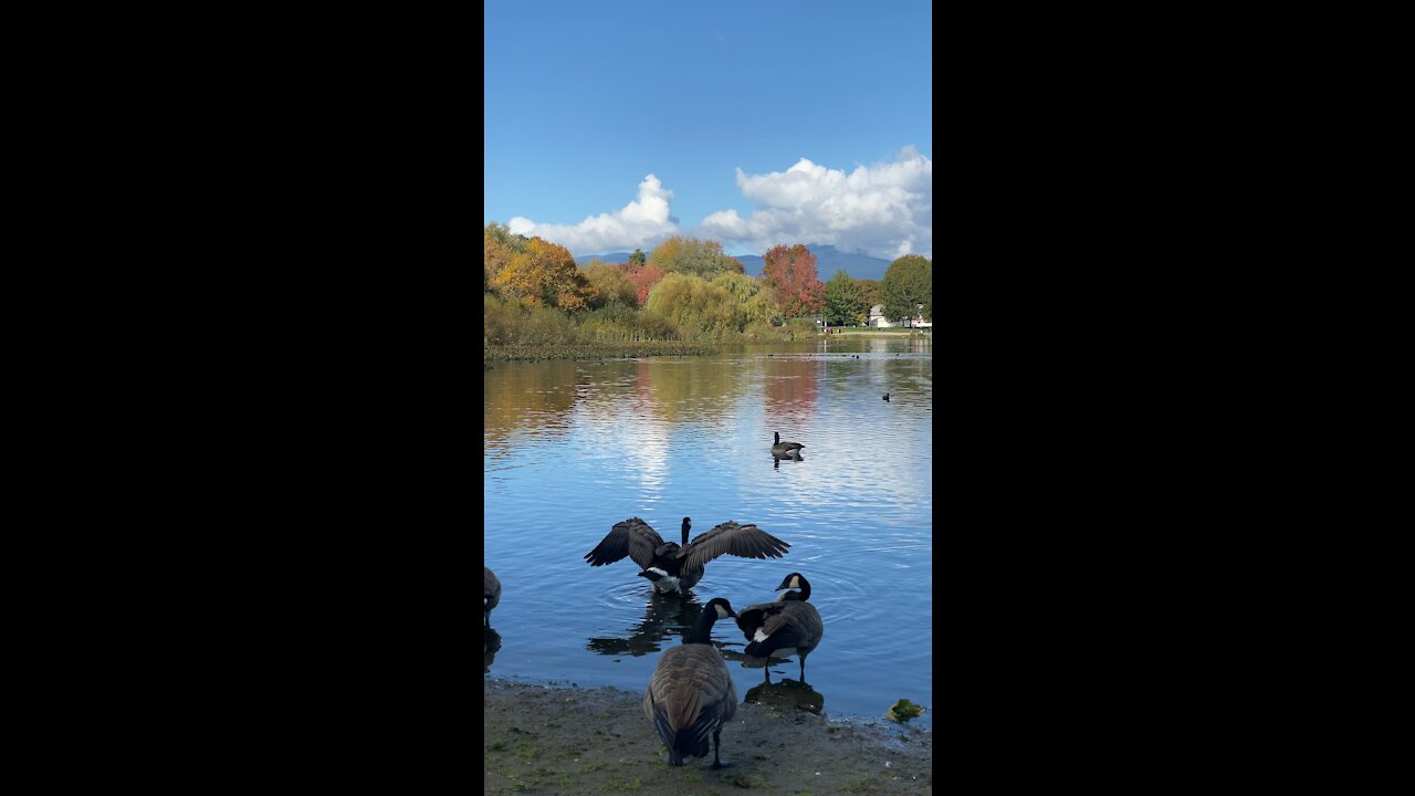 Beautiful Day In the Park