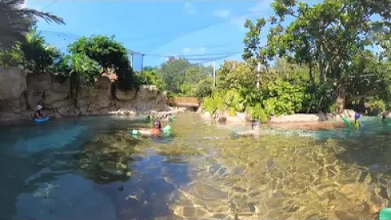 Discovery Cove in 360° #2