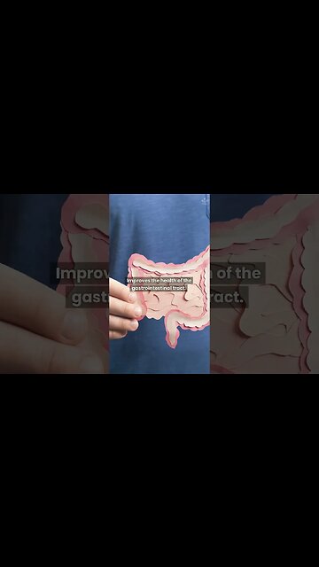 How To Use Milk Thistle To Treat And Prevent Diseases