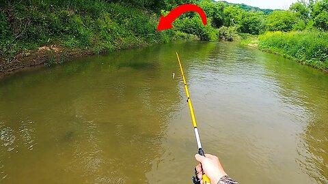 Creek Fishing a NEW Spot for JUMBO Trout