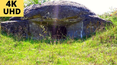 IN THE FOREST I FOUND A PILLBOX 45 YEARS OLD Nature in the spring in the forest.Sounds