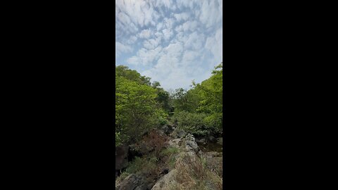 Nature view of Jamshedpur 😍