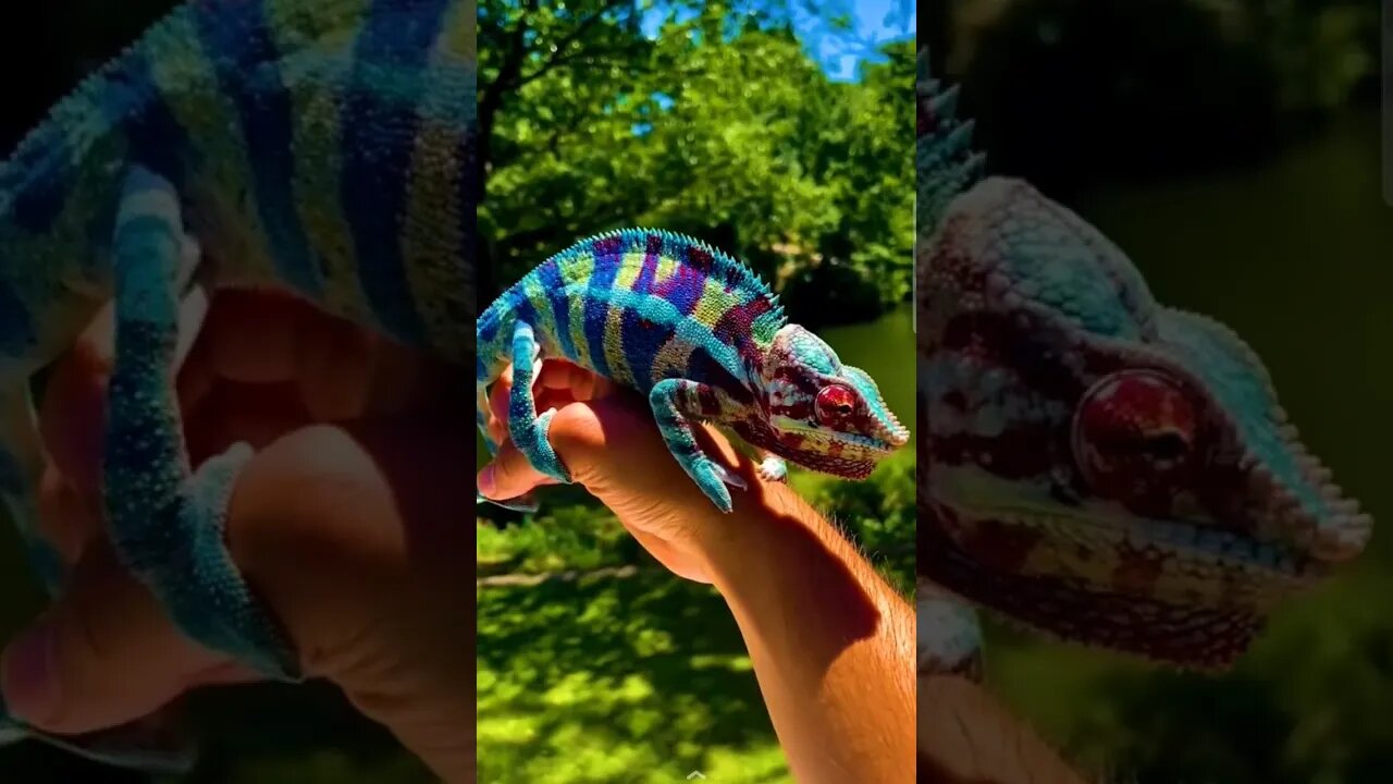 short animals video #ytshort #shorts