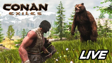 Vamos Upar no Servidor Ordem do Caos - Conan Exiles com os Inscritos