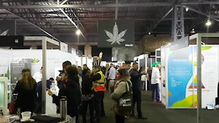 SOUTH AFRICA - Cape Town - Cannabis Expo (Video) (MtW)