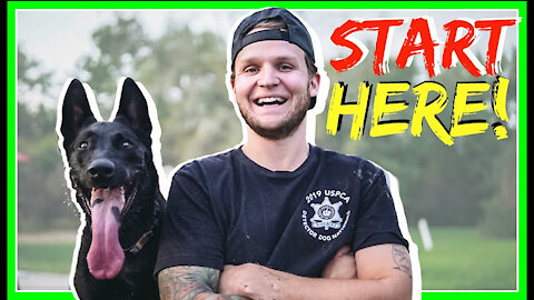 basic train for dogs