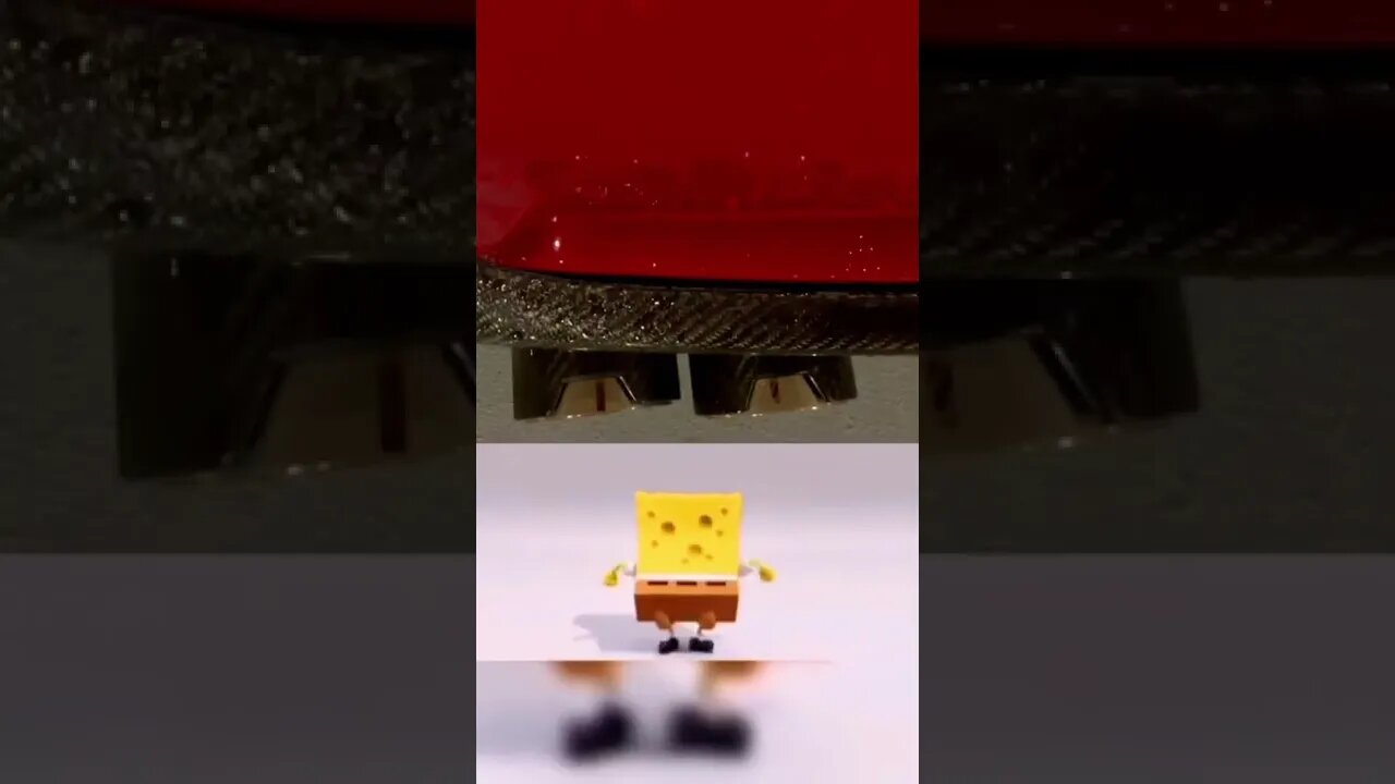 SpongeBob loves 🍅