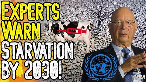 HUGE! EXPERTS WARN STARVATION BY 2030! - Panic Buying & Poison Food Incoming!