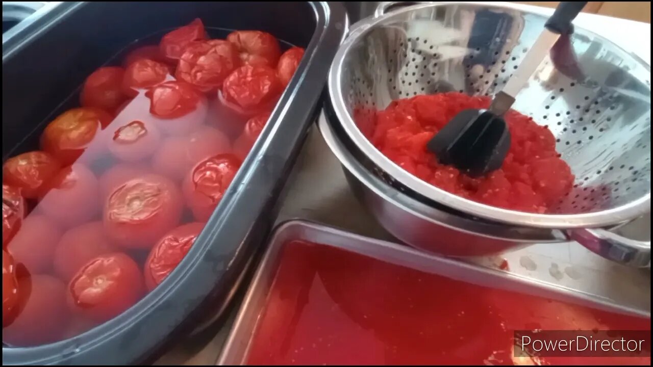 *2 IMPORTANT Things to Know When Canning Frozen Tomatoes