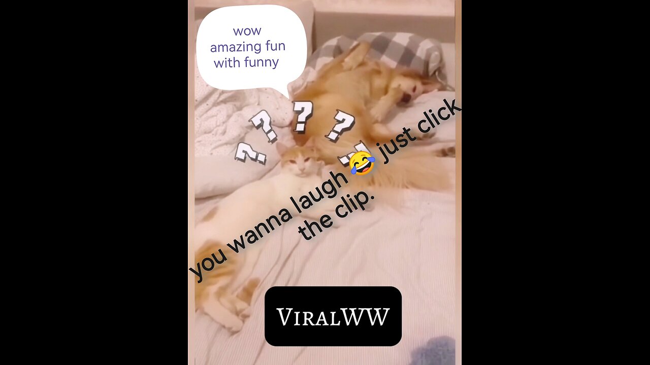 Funny Animal viral