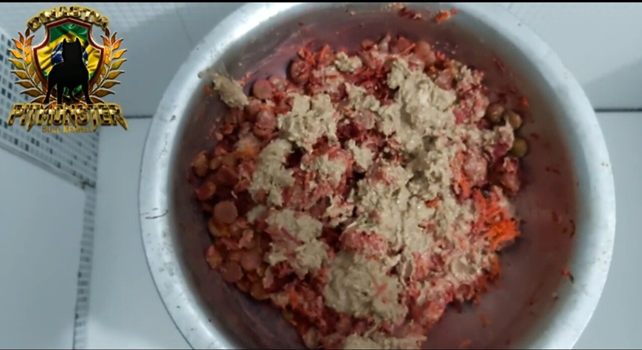ALIMENTAÇÃO PARA PITMONSTER EM REPRODUÇÃO /// FOOD FOR BREEDING PITMONSTERS