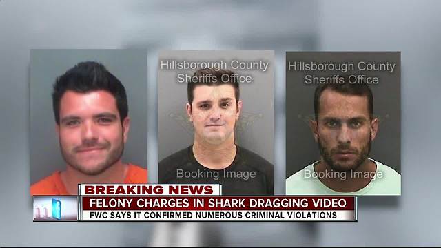 FWC charges 3 Manatee Co. men in connection to viral shark dragging video