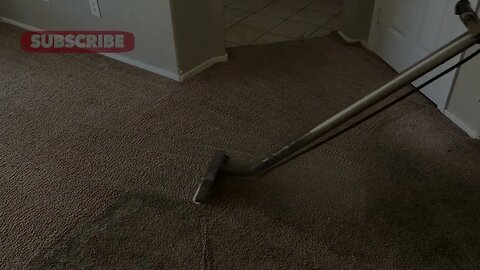 Citrox Carpet Cleaning Solution for Extreme Carpet Cleaning