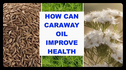 How Can Caraway Oil Improve Health: Harnessing the Health Benefits of Caraway Oil