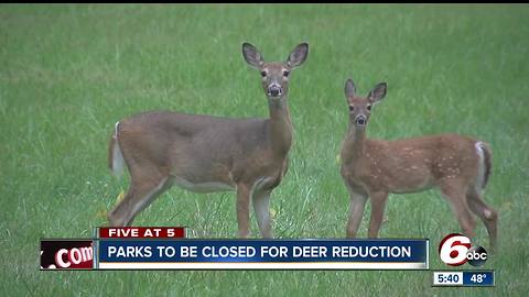 Indiana parks close for deer reduction