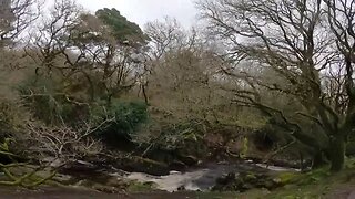 Drive along river Avon Dartmoor 25th March 2023