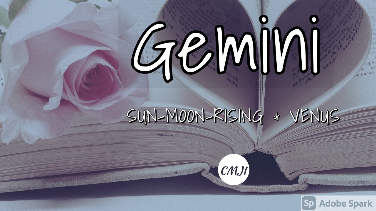 GEMINI "THE SOULMATE"