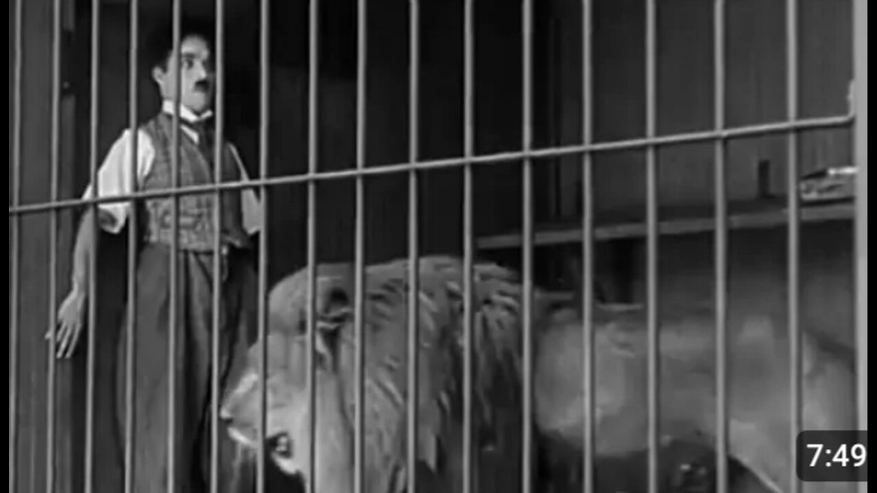 Charlie Chaplin and lion 😂lion cage