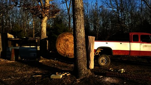 super professional hay deposit.