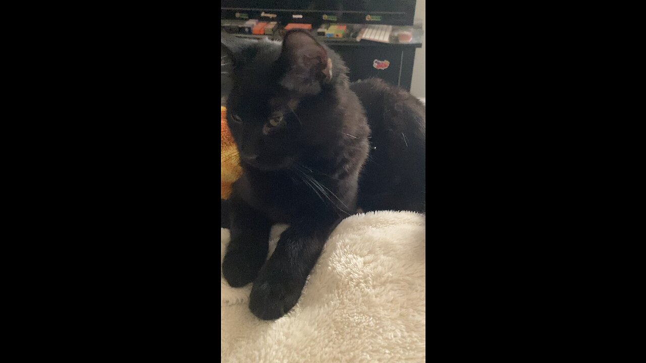 I’m too cute for words!