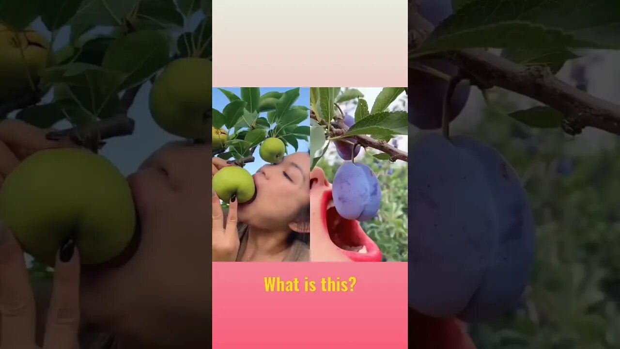 testy fruit #shorts #fruits #food