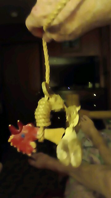 WOW A FEW REPUBLICANS ARE GROWING SOME BALLS