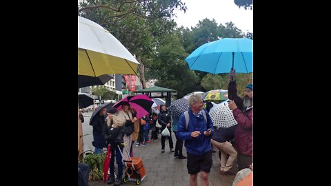 Rain or Shine, The Spirit of The Umbrella People is Defiant