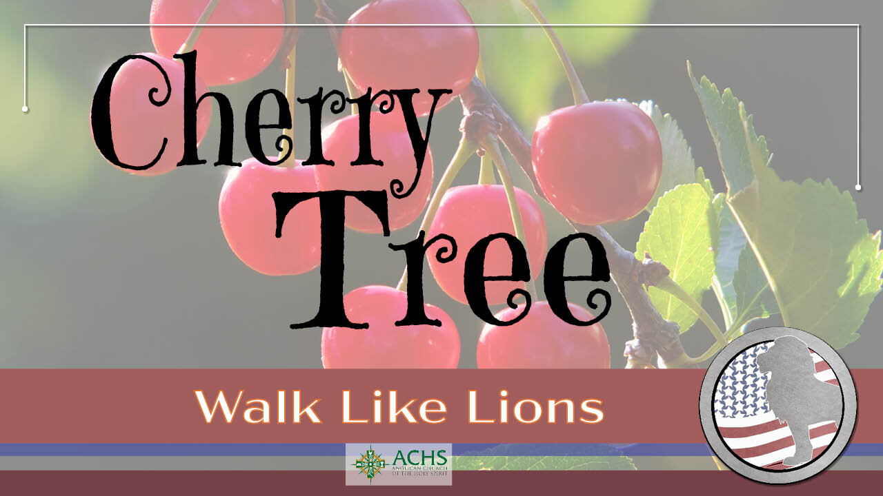 "Cherry Tree" Walk Like Lions Christian Daily Devotion with Chappy Sep 29, 2021