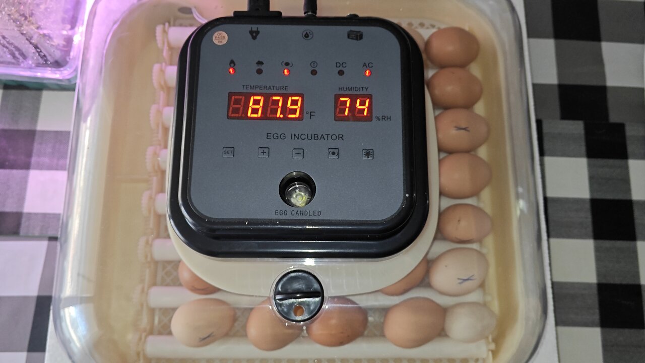 Hethya Automatic Egg Incubator