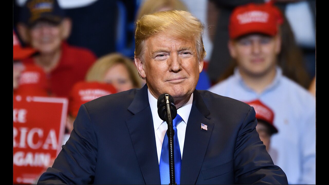 Monetized Mammoth Nation Weekly Update - August 6th 2023